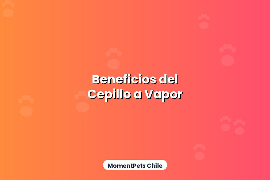 Beneficios del Cepillo Masajeador con Vapor para tu Mascota
