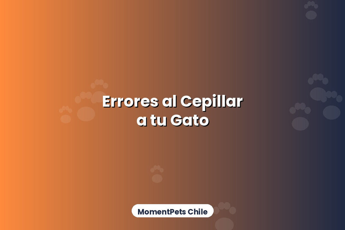 Errores Comunes al Cepillar a un Gato (y Cómo Evitarlos)