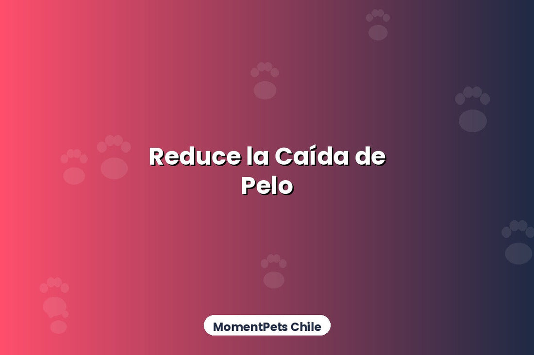 Cómo Reducir la Caída del Pelo en Perros y Gatos