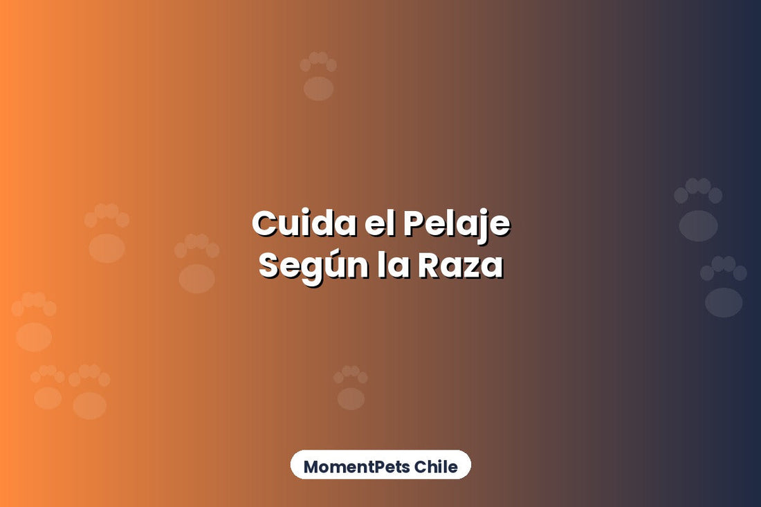 Cómo Cuidar el Pelaje de tu Mascota Según su Raza