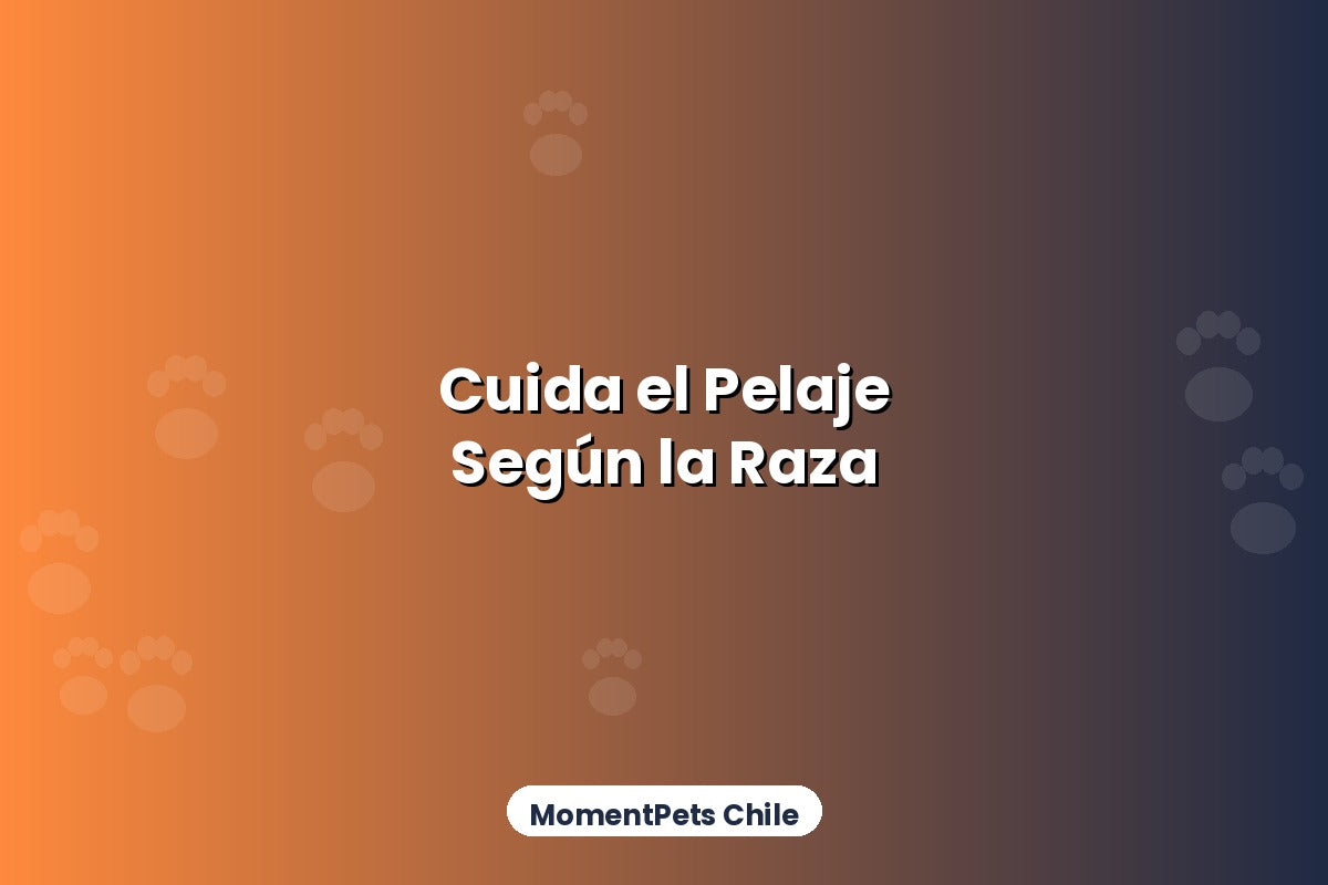 Cómo Cuidar el Pelaje de tu Mascota Según su Raza