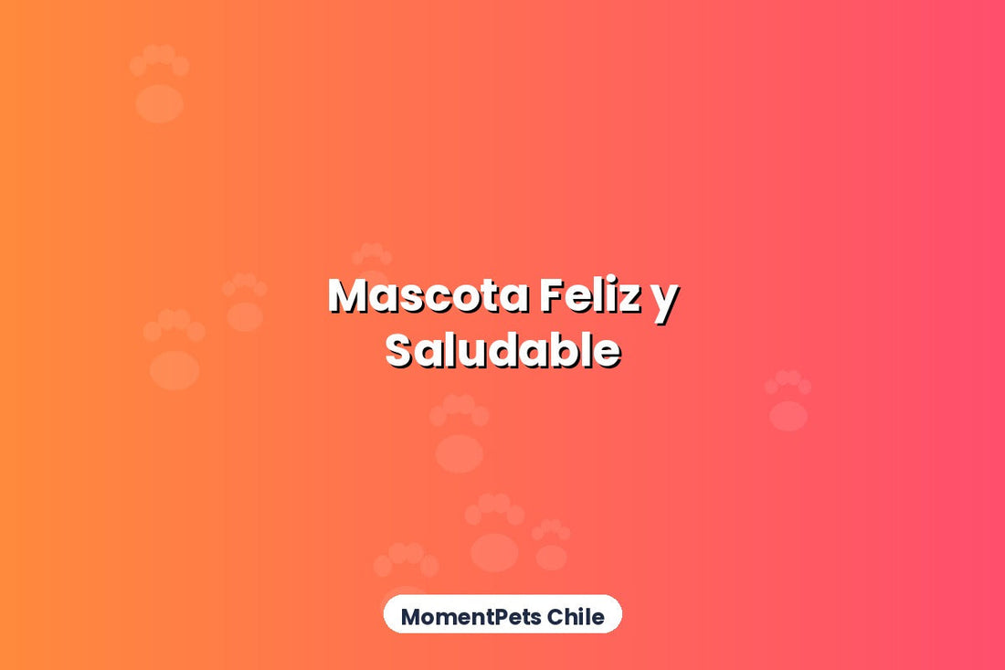 Consejos para Mantener una Mascota Feliz y Saludable