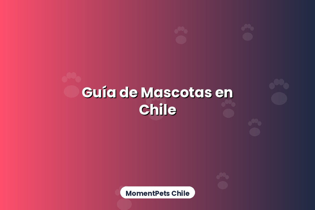 Guía Completa para el Cuidado de Mascotas en Chile