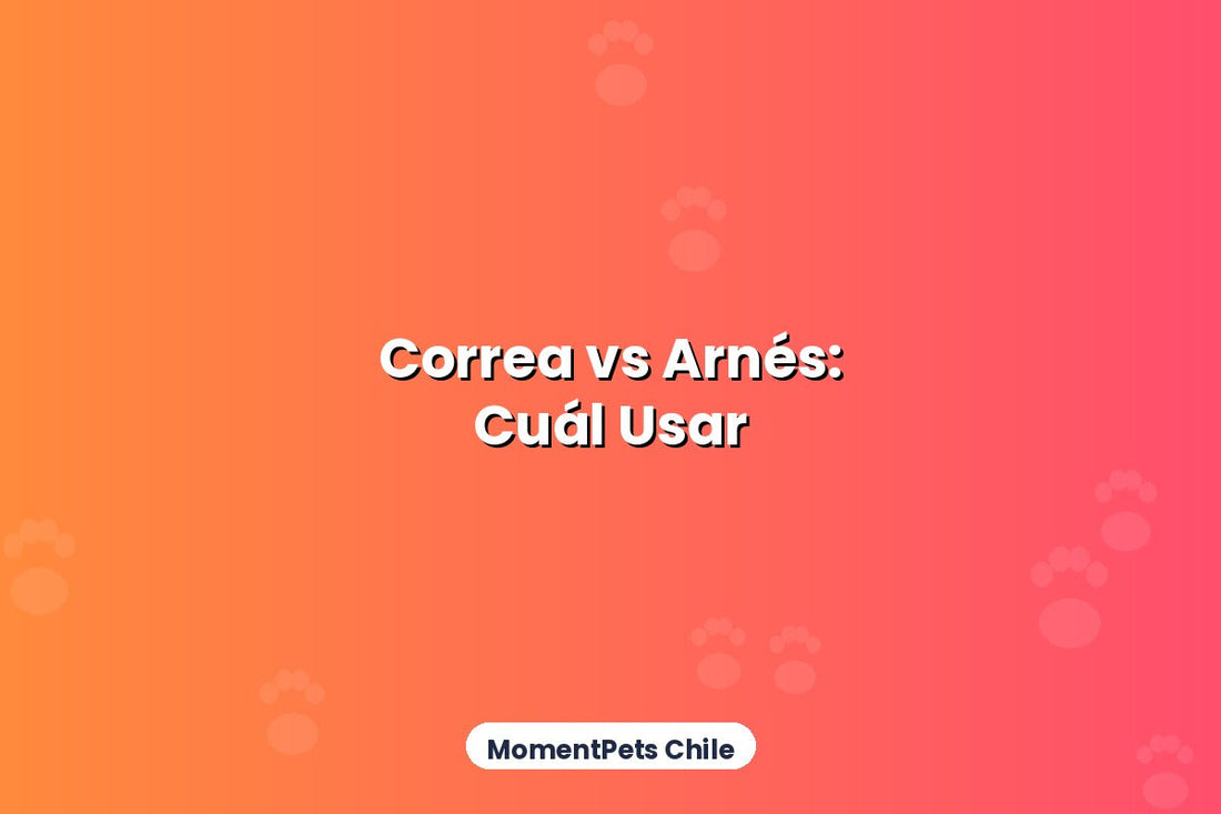 Correa vs Arnés: Cuál Usar Según la Edad de tu Perro