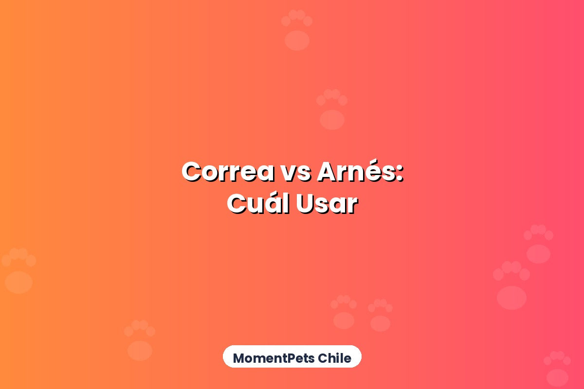 Correa vs Arnés: Cuál Usar Según la Edad de tu Perro