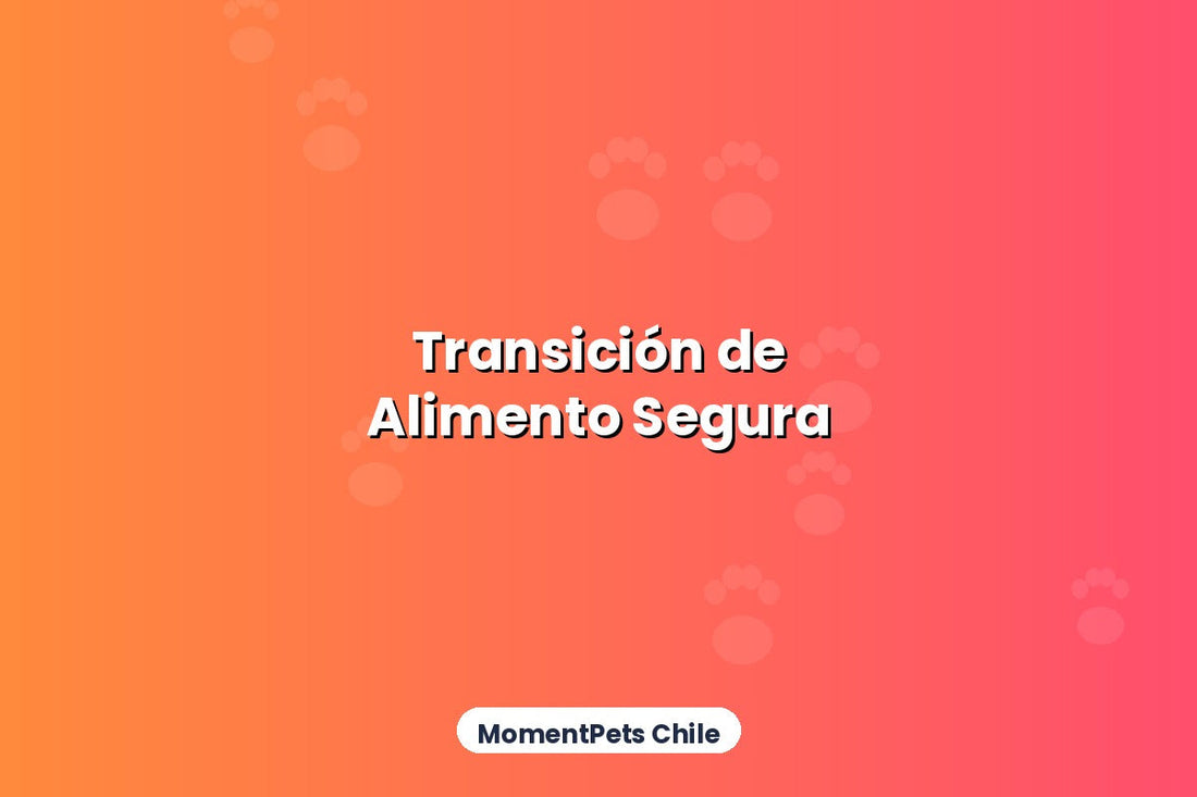 Cómo Hacer la Transición de Alimento Sin Enfermar a tu Mascota