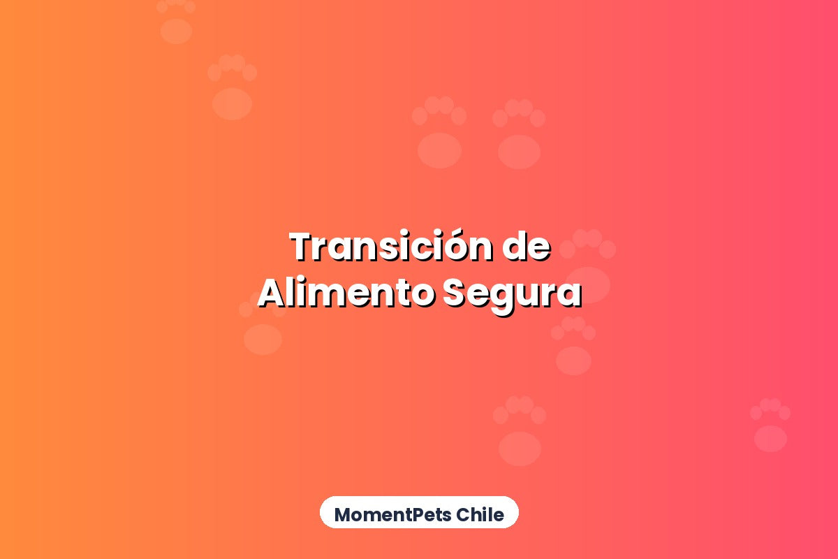 Cómo Hacer la Transición de Alimento Sin Enfermar a tu Mascota
