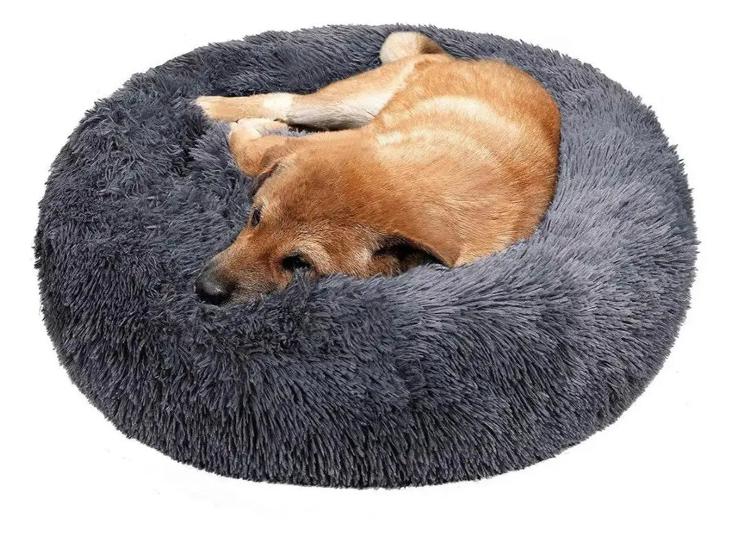 Cama Antiestrés 60cm "NubeRelax" para mascotas | Descanso - Envío gratis Chile