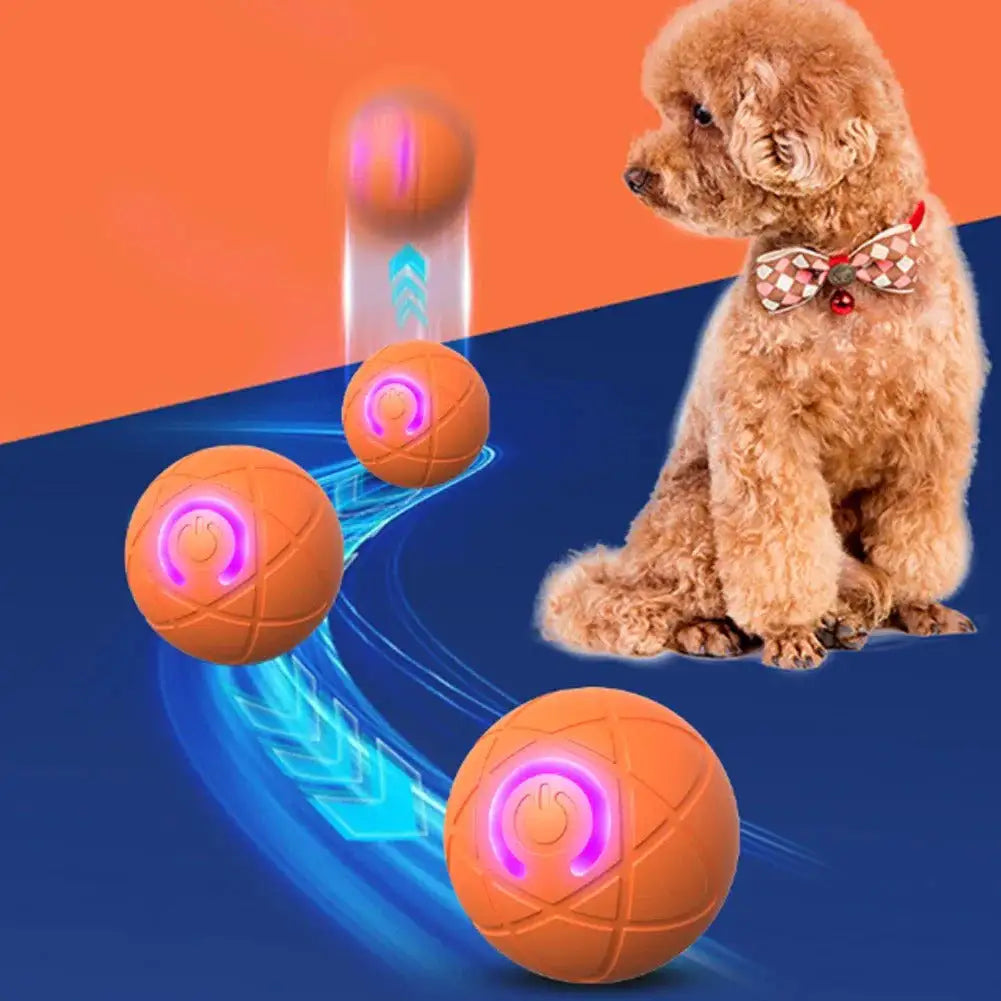 Juguete Saltarín para Perros "SaltoActivo" para mascotas | Juguetes - Envío gratis Chile