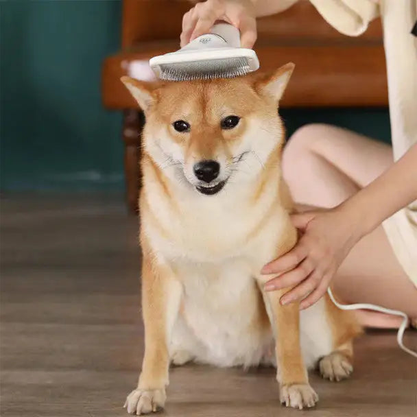 Secador Portátil para Mascotas "SecaRápido" para mascotas | Aseo y Cuidado - Envío gratis Chile
